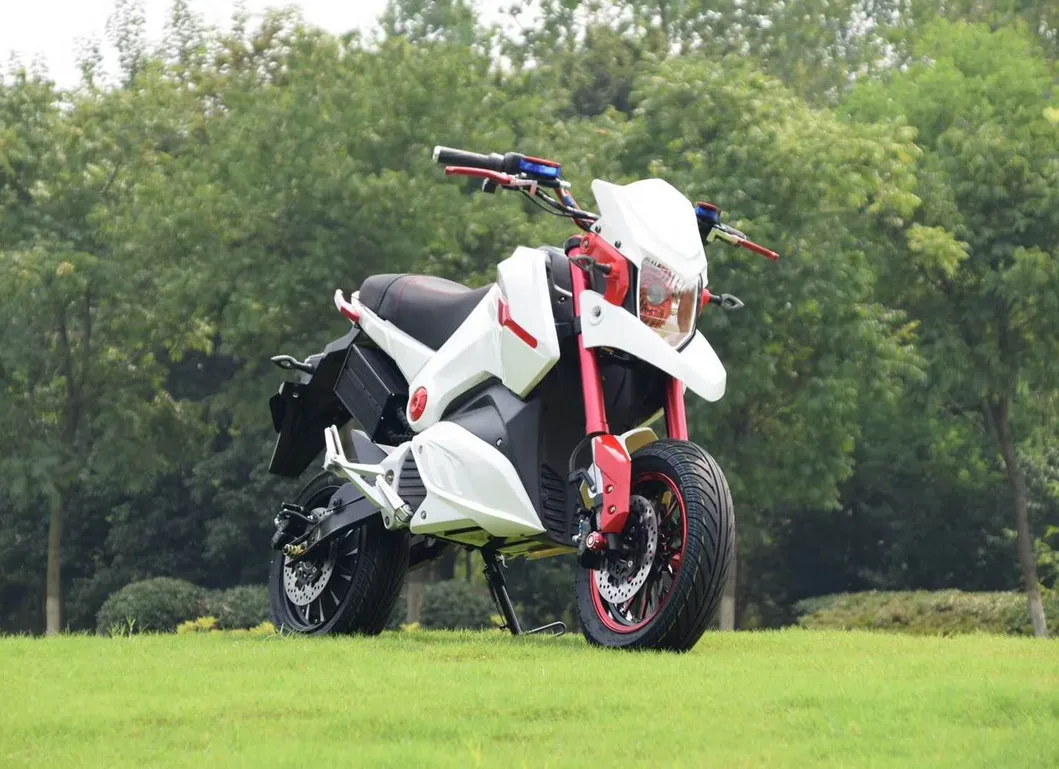 Hot Sale New Arrival EEC Electric Motorcycle M5 Msx with Cood Design and Green Energy