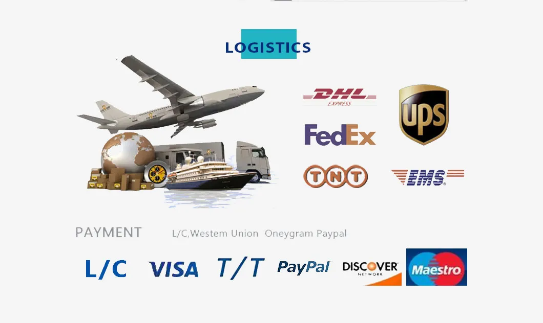 Hot Sale The Most Fashionable 2 Wheel Electric Scooter Adult Electric Motorcycle