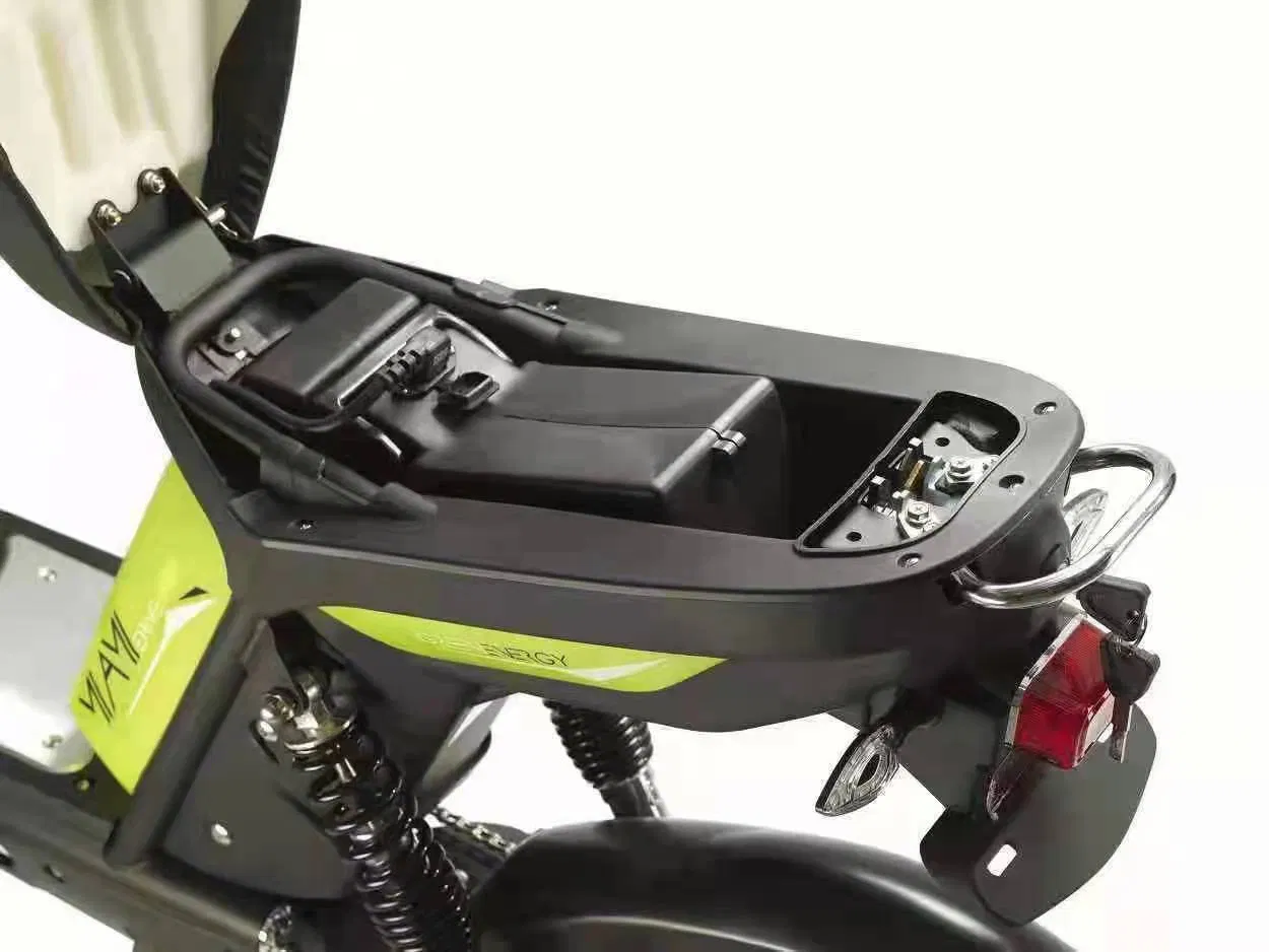 Hot Sell and Powerful Electric Scooter Bicycle Motorcycle with EEC Lithium Battery/Lead Acid 500W Brushless DC Motor 40km/H