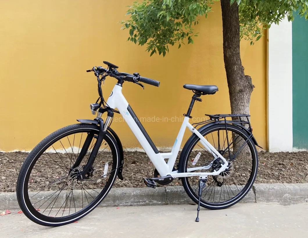 Ibis 36V 250W Electric Bicycle Rear Motor City Ebike for Lady