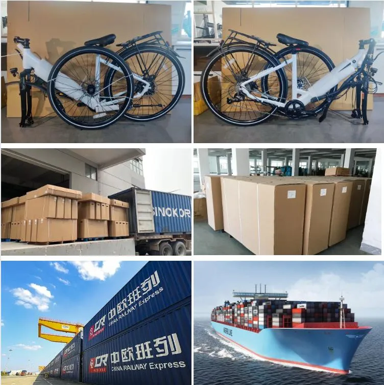 Ibis 36V 250W Electric Bicycle Rear Motor City Ebike for Lady