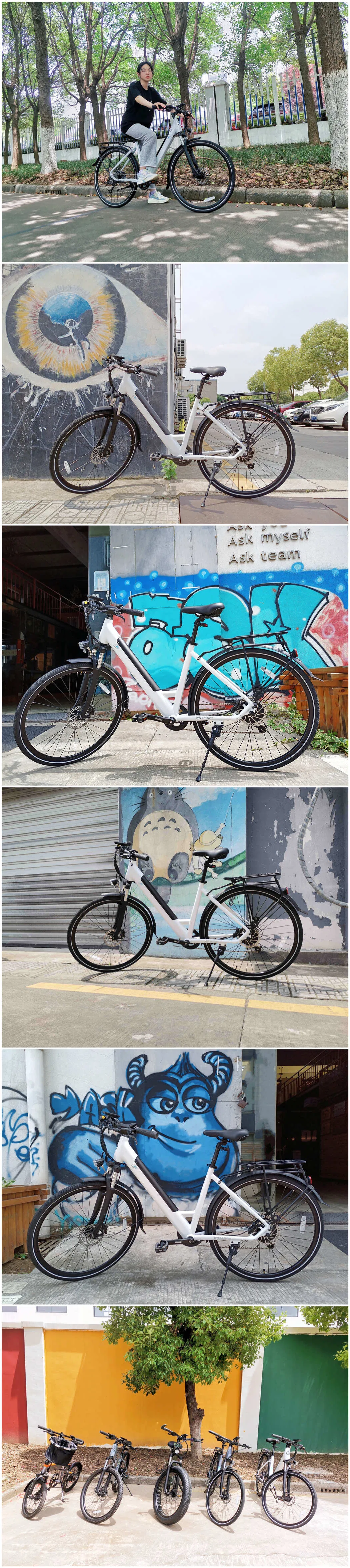 Ibis 36V 250W Electric Bicycle Rear Motor City Ebike for Lady