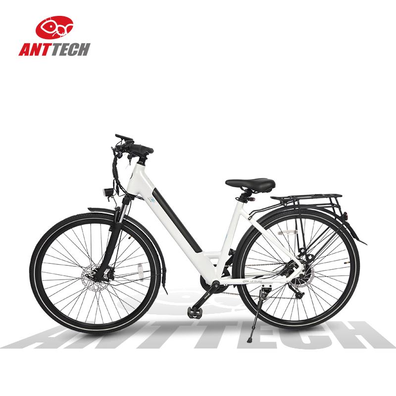 Ibis 36V 250W Electric Bicycle Rear Motor City Ebike for Lady