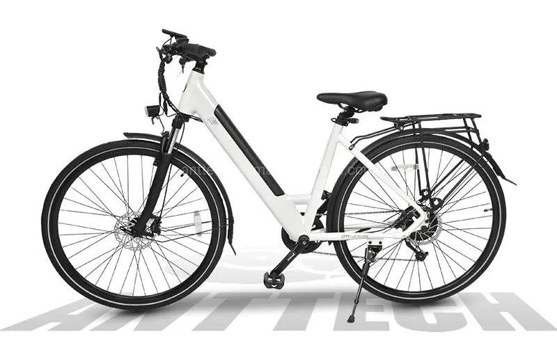 Ibis 36V 250W Electric Bicycle Rear Motor City Ebike for Lady