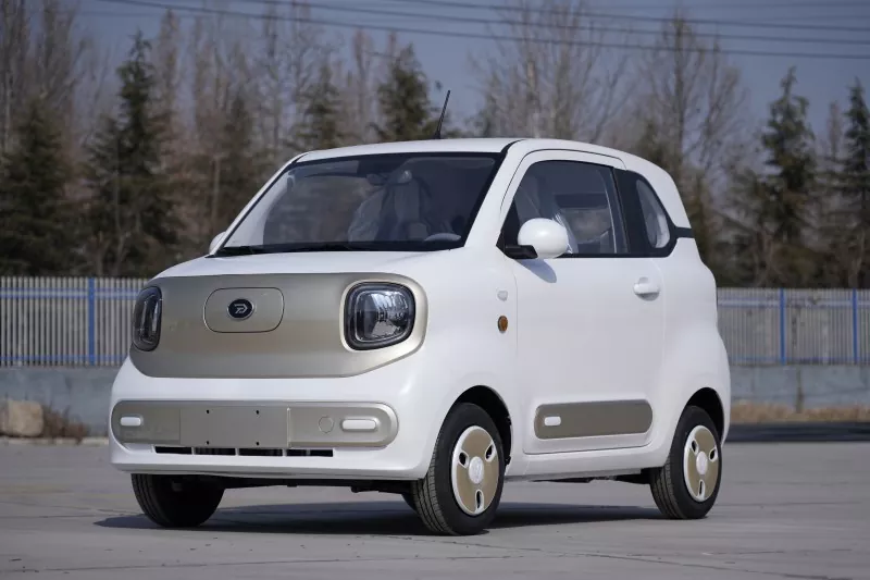 Electric Passenger Car