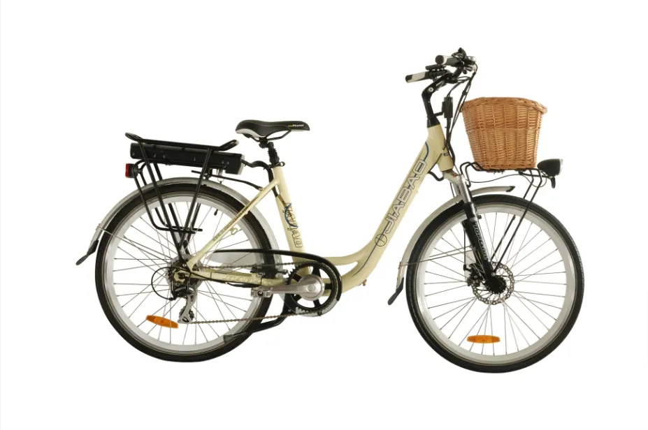 Italian Style Bicycle, Electric City Cruise Bike (JB-TDF11Z)