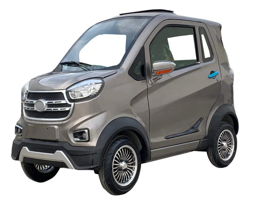 Lead-Acid Battery Rwd Curb Wheel Brake Electric Vehicle