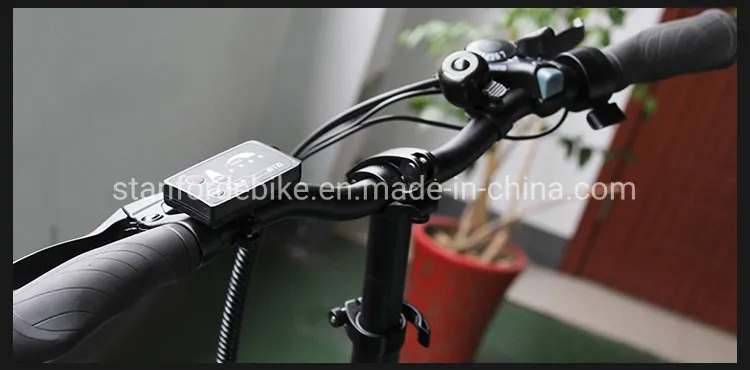 Lectric Bicycle 20" Electric Bike 2020 New Design Bicycle