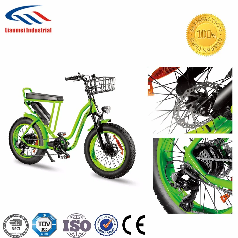 Lmtdn-01L Electric Bike