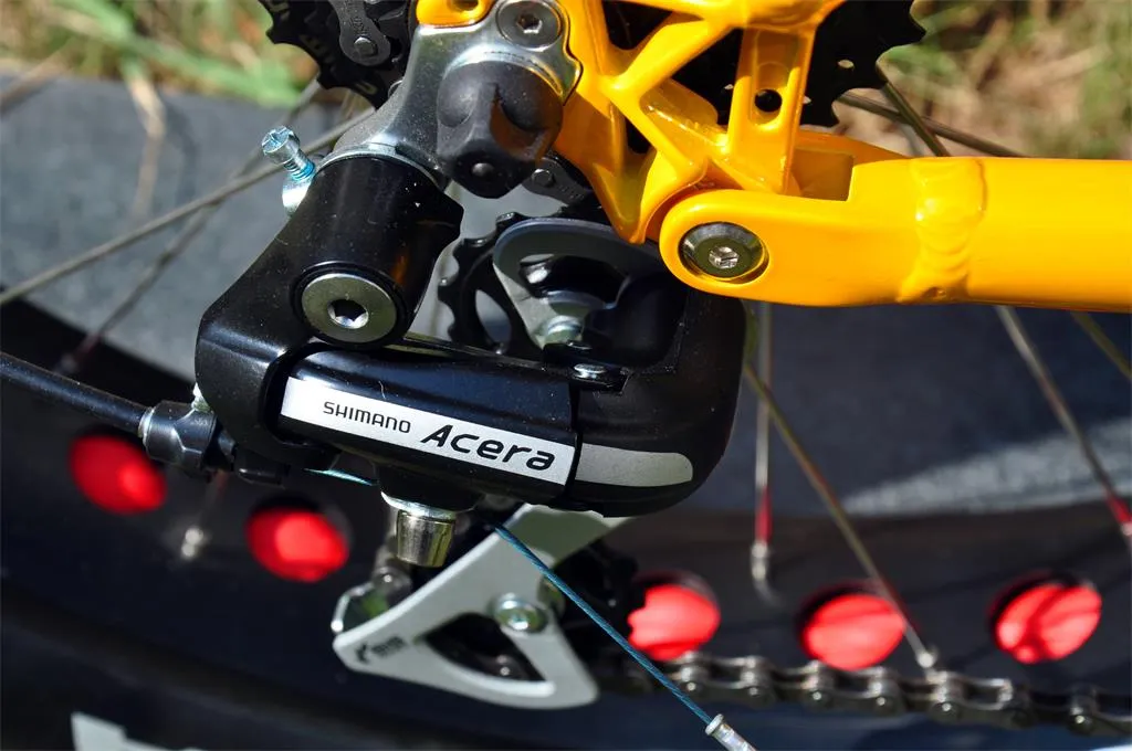 Lohas Electric Fat Bike Full Suspension with Bafang M600 Drive