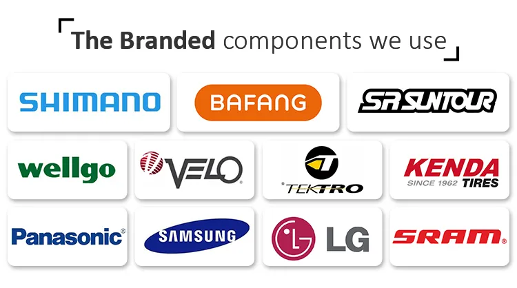 Lohas Electric Fat Bike Full Suspension with Bafang M600 Drive