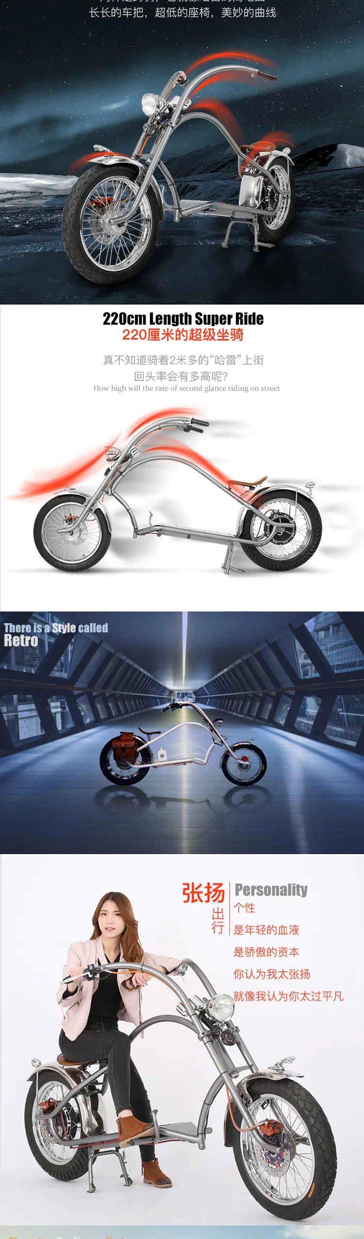 Long Range 70km 800W Fat Tire Chopper Halley Motorcycle Electric Bike