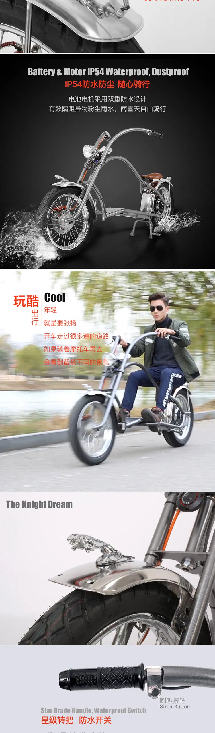 Long Range 70km 800W Fat Tire Chopper Halley Motorcycle Electric Bike