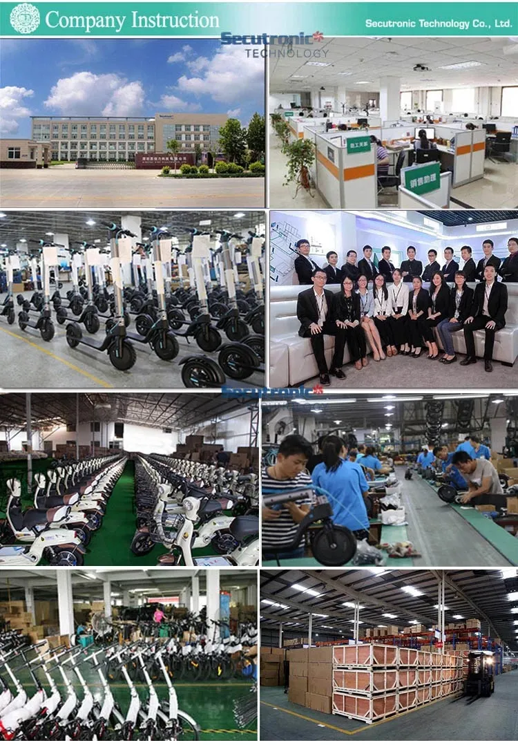 Long Range 70km 800W Fat Tire Chopper Halley Motorcycle Electric Bike
