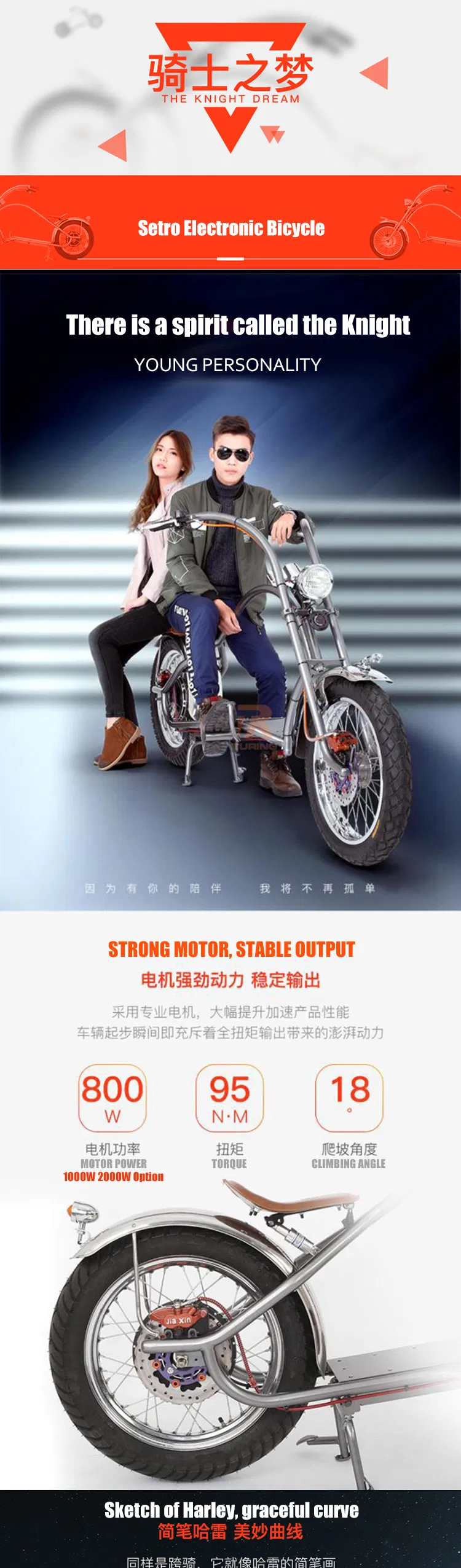 Long Range 70km 800W Fat Tire Chopper Halley Motorcycle Electric Bike