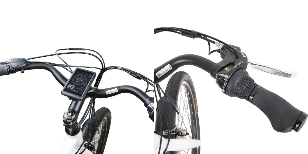 Longtail Cargo Electric Bike with 48V350W Rear Motor Guangzhou Factory