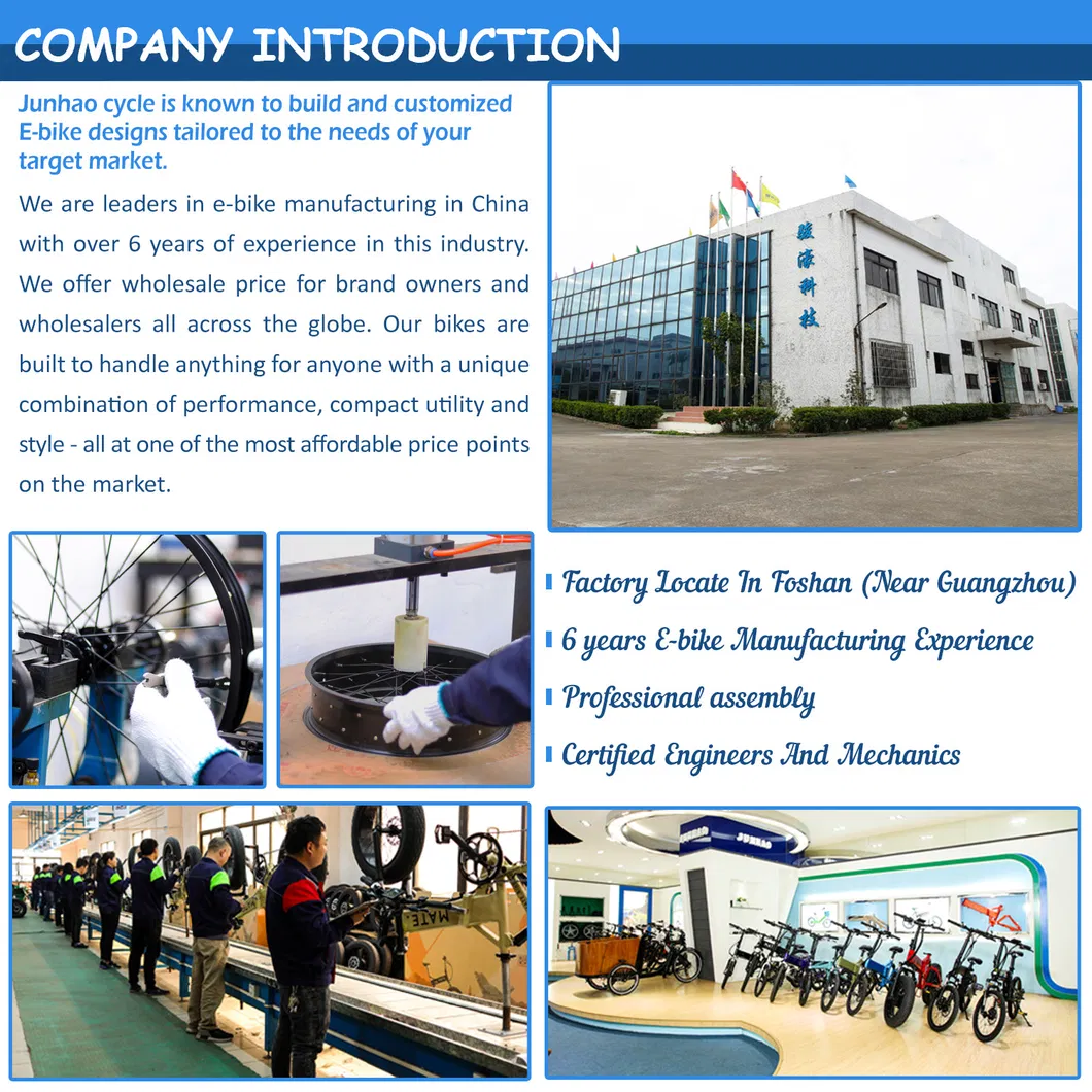 Longtail Cargo Electric Bike with 48V350W Rear Motor Guangzhou Factory