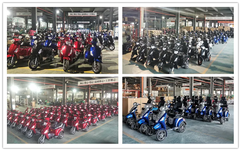 Luxury Appearance Style Novel Electric Scooter