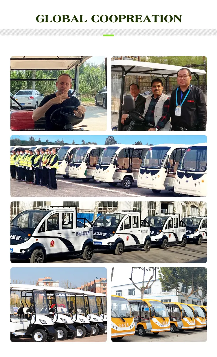 Luxury Electric Golf Cart High Power Club Car Buddy 4+2 Seats Hot Sale Offroad