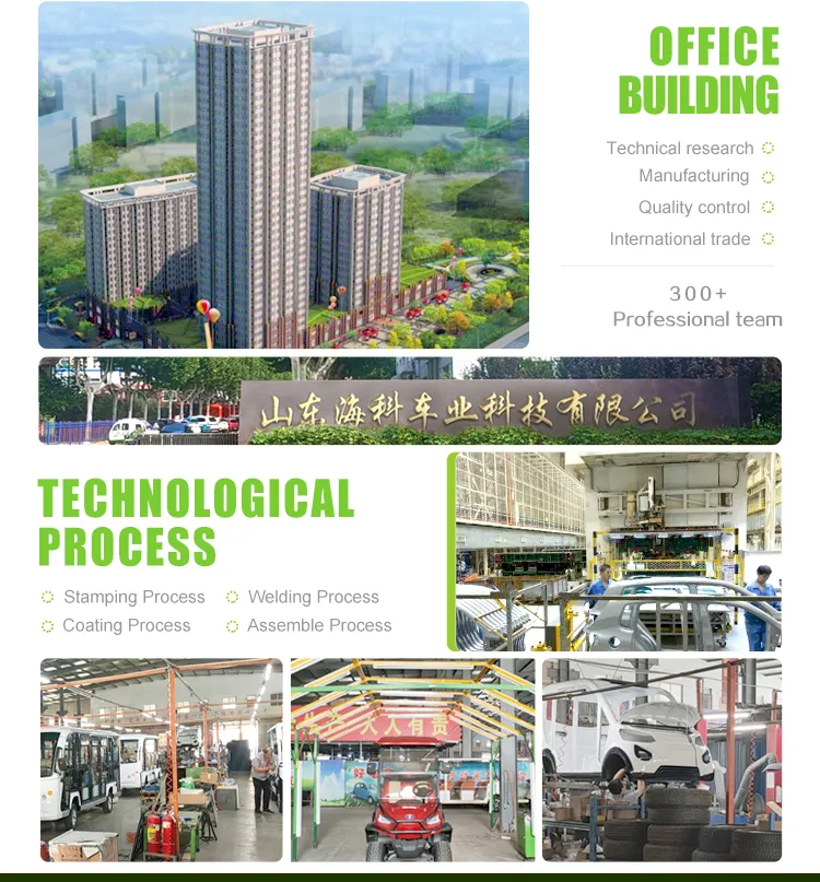 Luxury Electric Golf Cart High Power Club Car Buddy 4+2 Seats Hot Sale Offroad