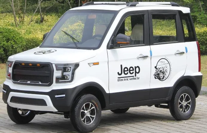 Max Speed 45km/H Endurance Mileage Range150km Electric Car