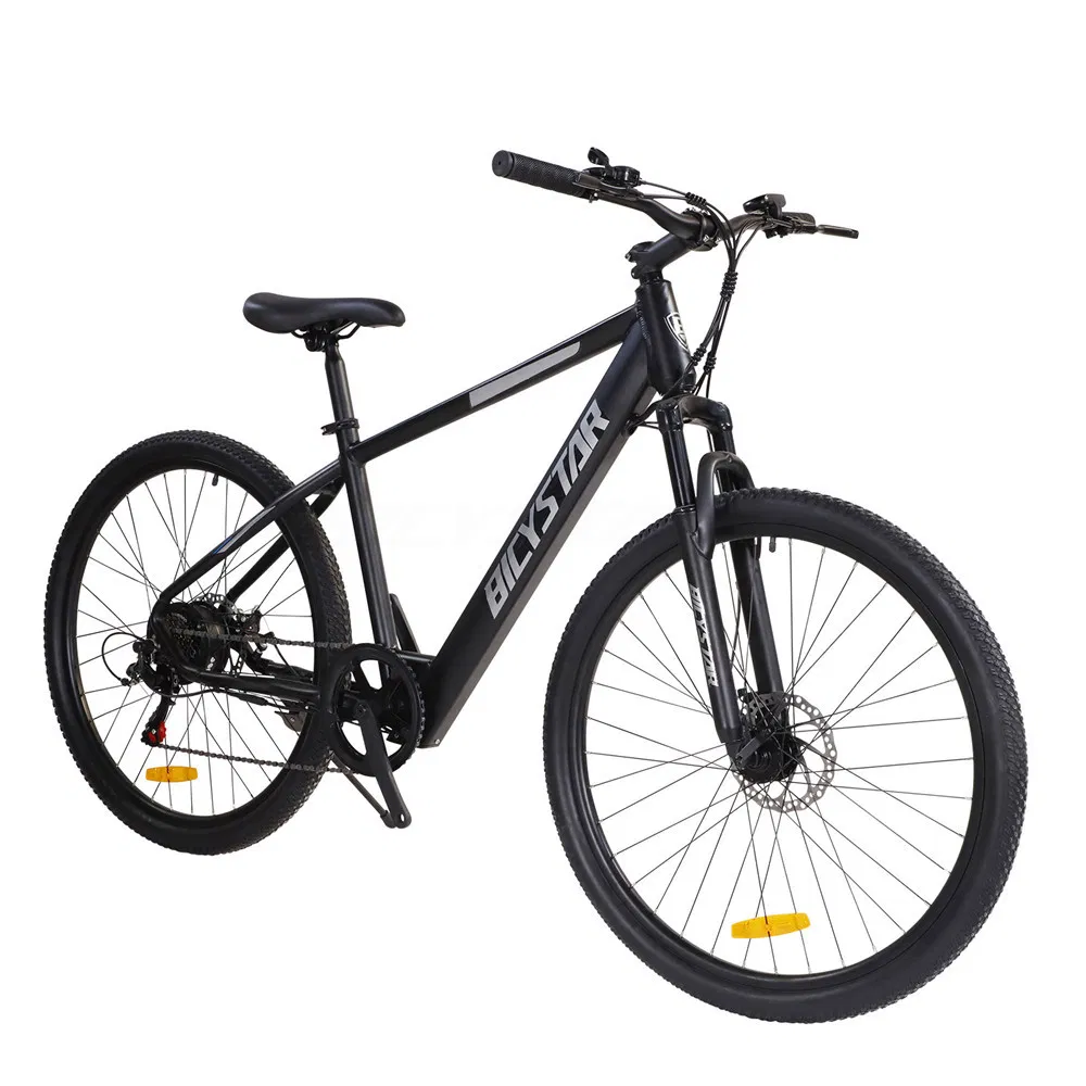 MID Motor Electric Bicyclemid-Drive Ebikemini Electric Bike Foldingmontain Bike Electricmontain E Bike