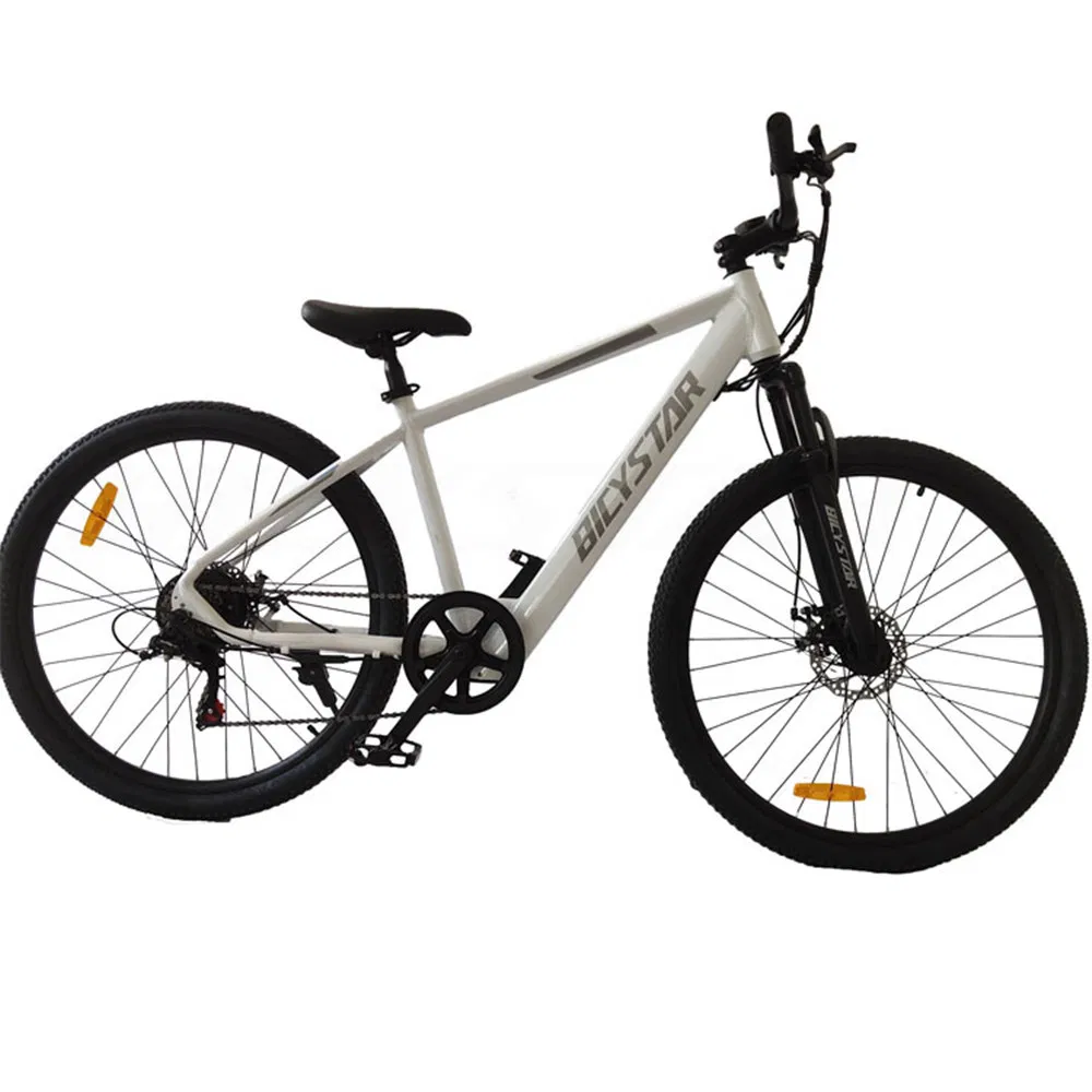 MID Motor Electric Bicyclemid-Drive Ebikemini Electric Bike Foldingmontain Bike Electricmontain E Bike