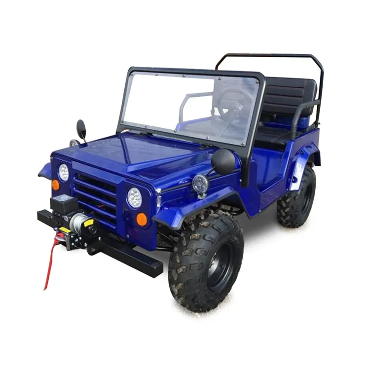 Mini Jeep Electric Mini Go Kart 1.2kw 60V32ah