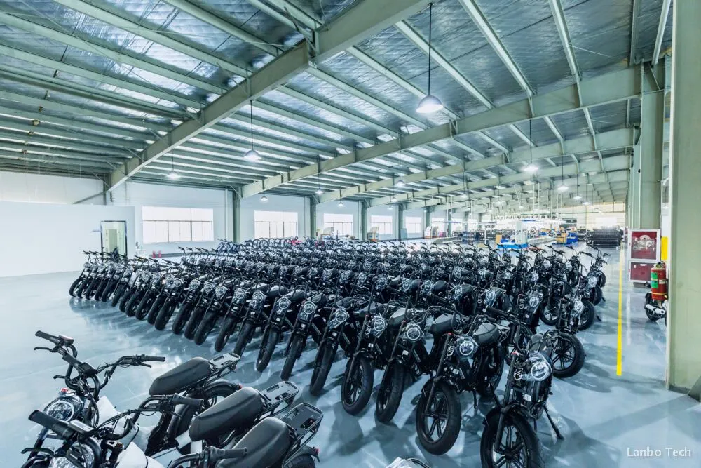 New Arrival 2021 Best Selling Fat Tire Electric Bicycle