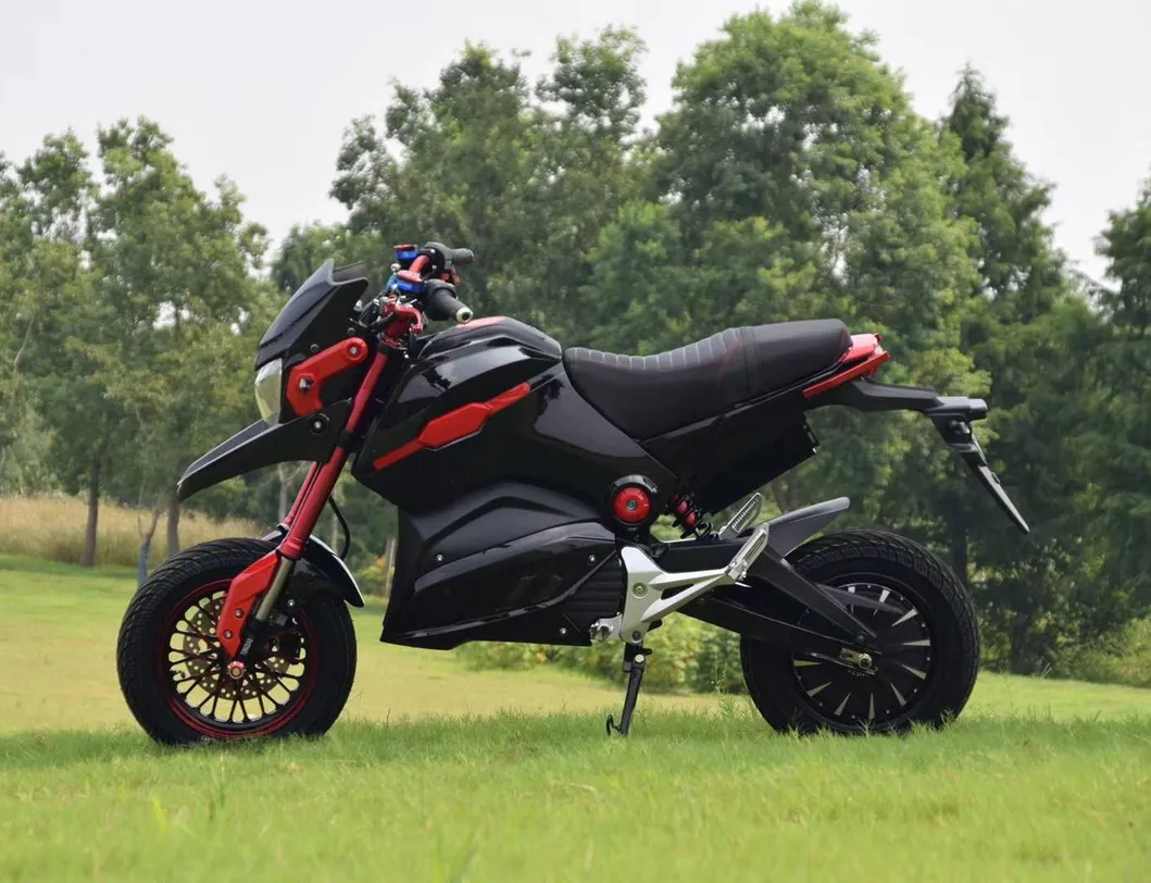 New Arrival CE Approved Green Energy Electric Motorcycle M5 Msx