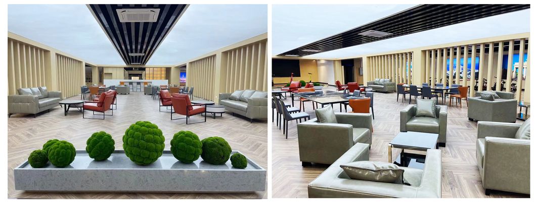 New Arrival New Model Electric Scooter with Large Saddle