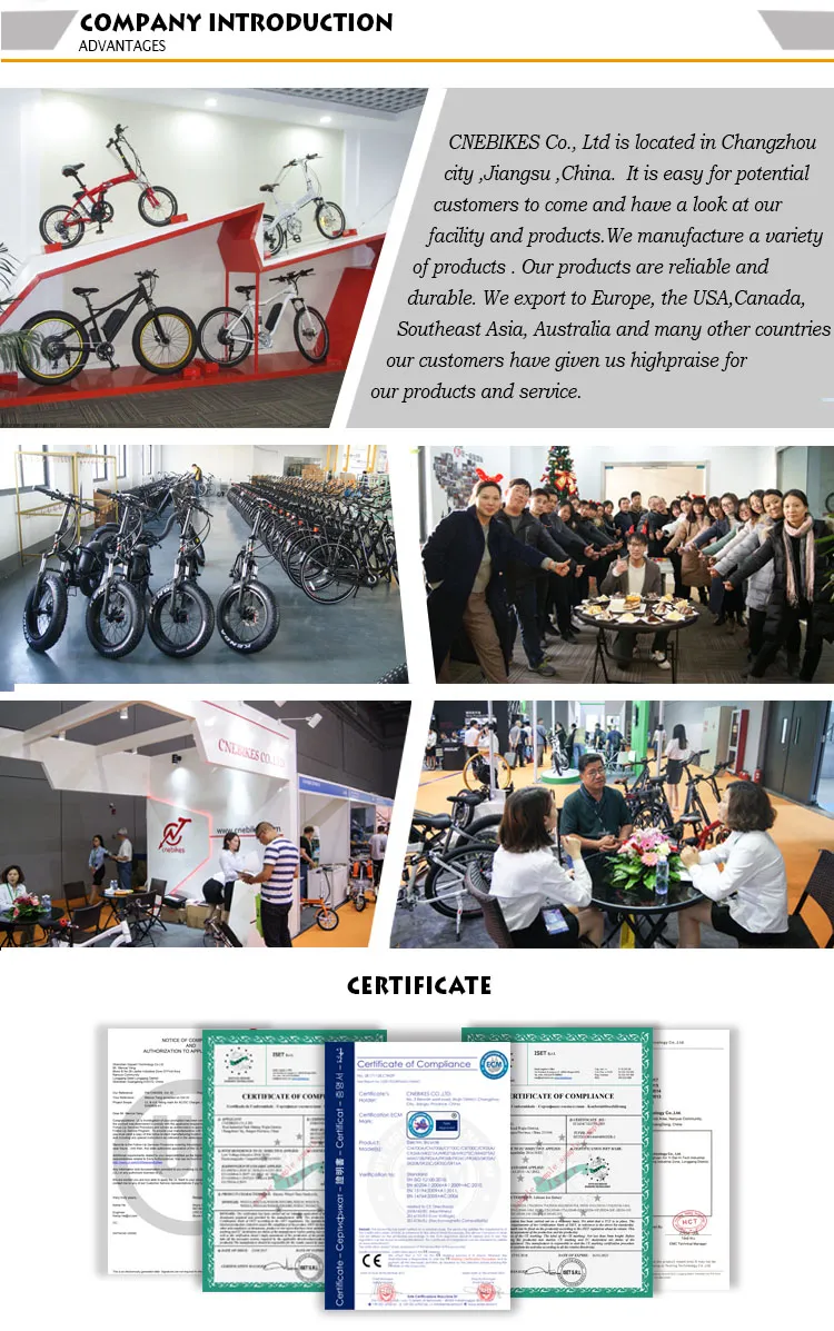 New Cnebikes 36V 250W 350W Front One Wheel Attachable Handbike Electric Wheelchair Handcycle