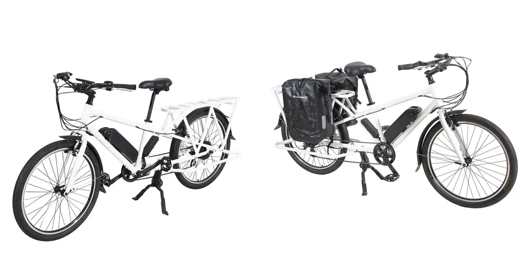 New Design 26inch Longtail Cargo Electric Bike with 48V350W Motor