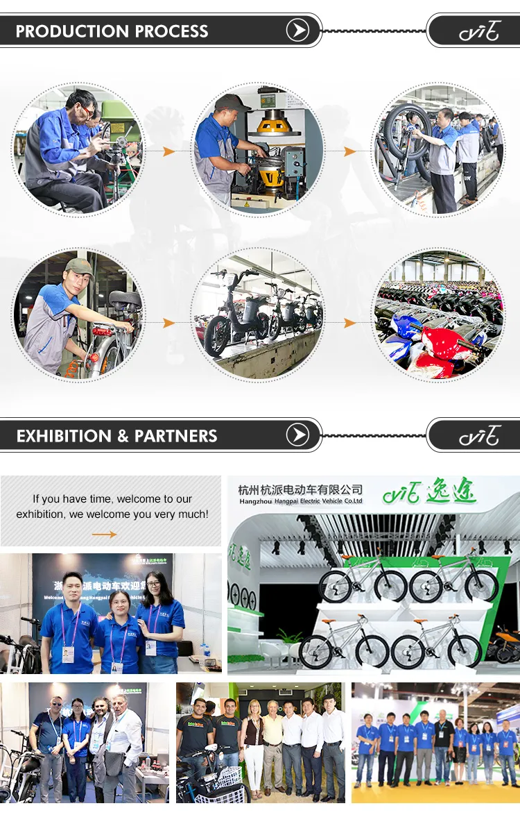 New Design Fat Tire Electric Bicycle with Lithium Battery CE Approved Motor Electric Motorcycle