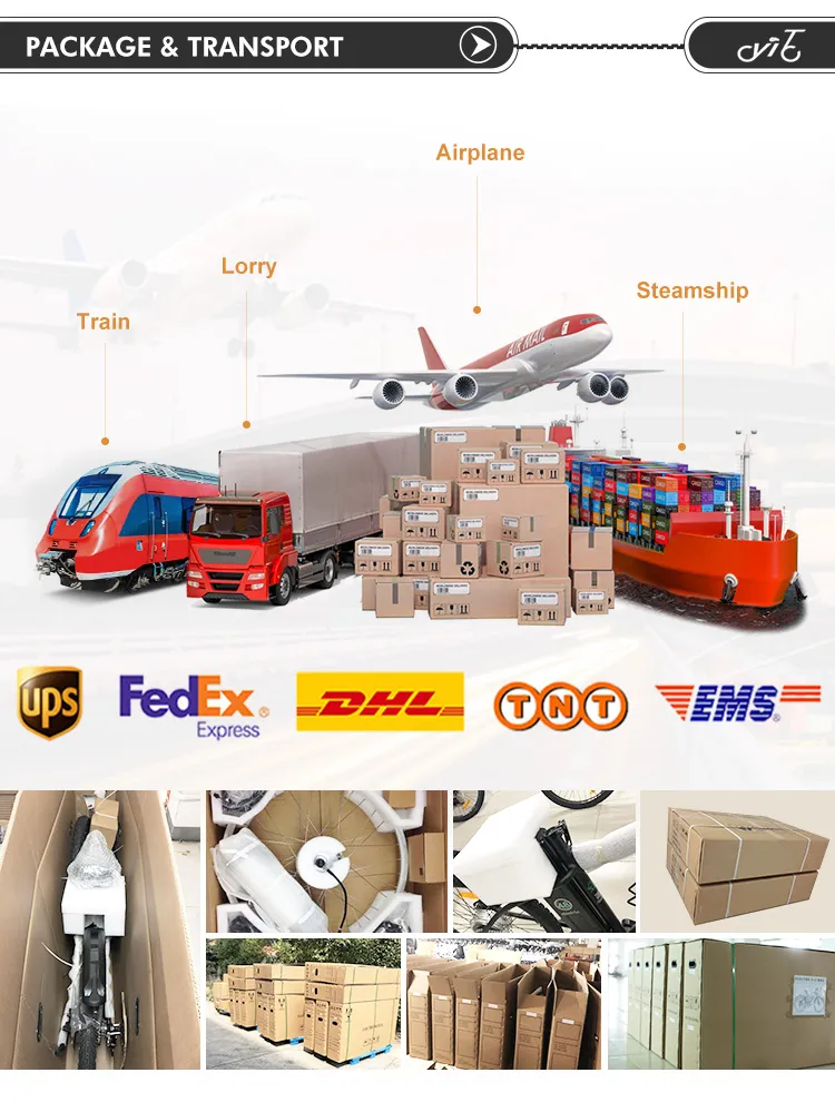 New Design Fat Tire Electric Bicycle with Lithium Battery CE Approved Motor Electric Motorcycle