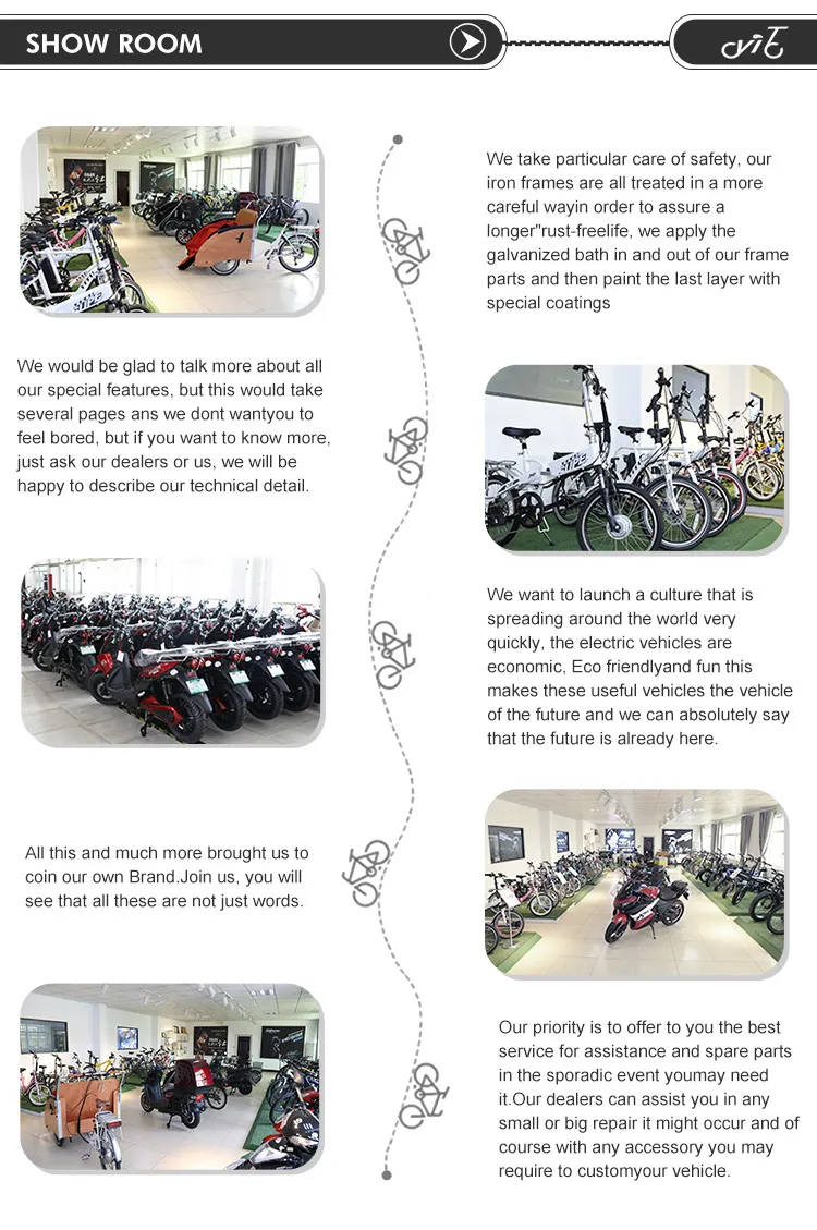 New Design Fat Tire Electric Bicycle with Lithium Battery CE Approved Motor Electric Motorcycle