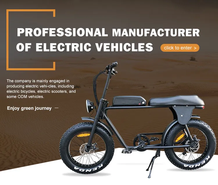 New Design Fat Tire Electric Bicycle with Lithium Battery CE Approved Motor Electric Motorcycle
