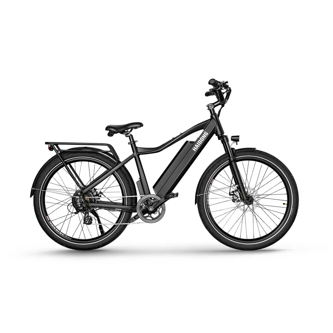 New Design Light Weight with LCD Display Function Shared Ebike E Bike