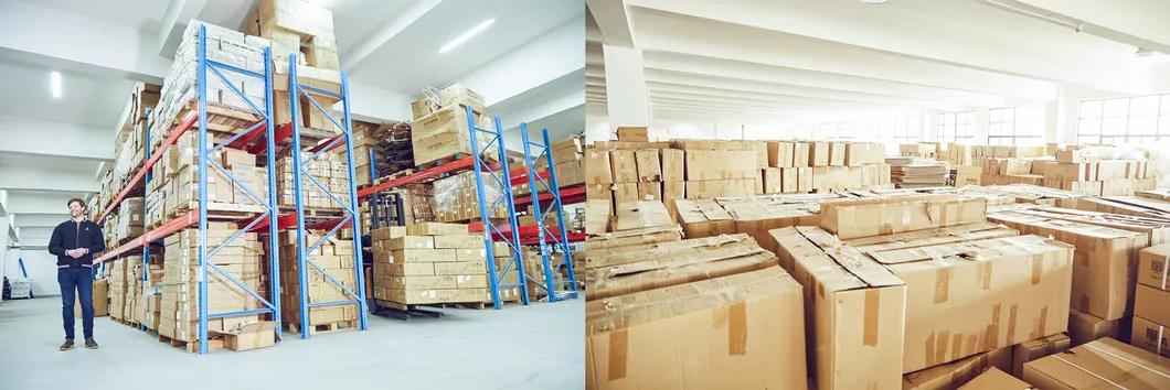 New Design Light Weight with LCD Display Function Shared Ebike E Bike