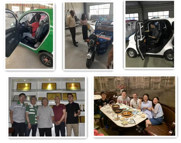 New Electric SUV Cheap Electric Cars Hybrid Car for Adults Carros Electricos PARA Adulto for Sale Made in China
