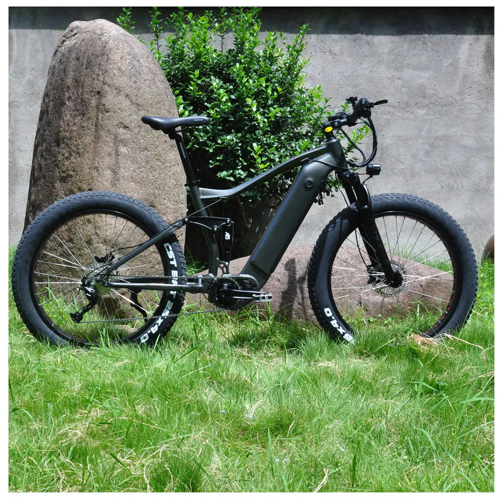 Newest 48V 500W Electric Bike with Bafang M600 Middle Motor