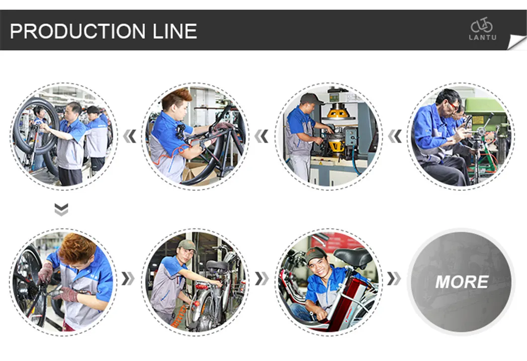 OEM 500W Pedal Assisted Electric Moped with Two Seats