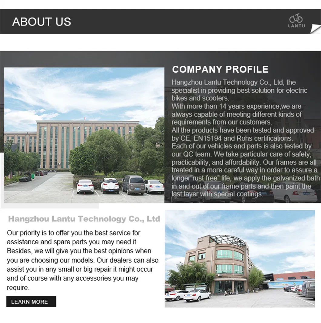 OEM 500W Pedal Assisted Electric Moped with Two Seats