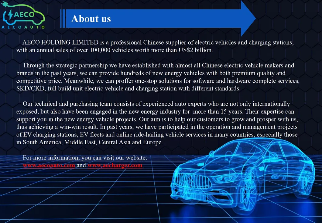 OEM Acceptable City New Energy Electric Car SUV Type for Family Chinese Electric Car for Wholesale