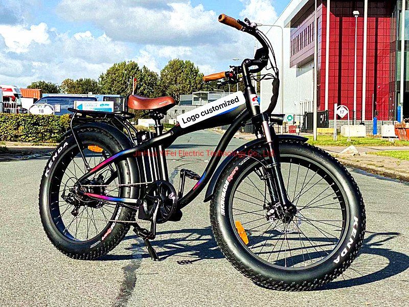 OEM Bike 26 Inch Fat Tire Electric Bicycle