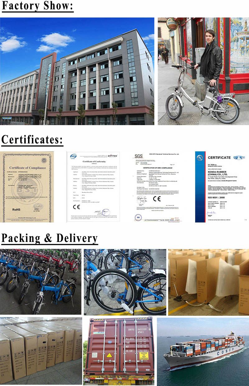 OEM Bike 26 Inch Fat Tire Electric Bicycle