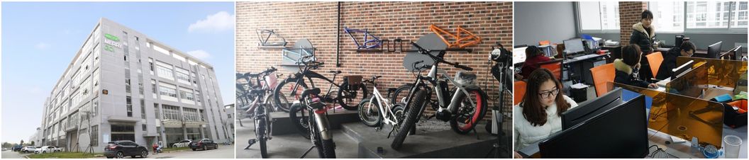 OEM Foldable Bicicletas Electricas/48V500W E Cycle Electric Bike /20 Inch Folding Electric Bike