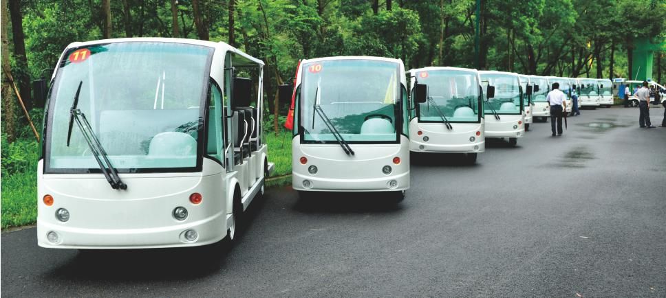 Passenger Car Durable Classic Sightseeing Bus Electric Classic Car with 14 Seats (DN-14F-9)