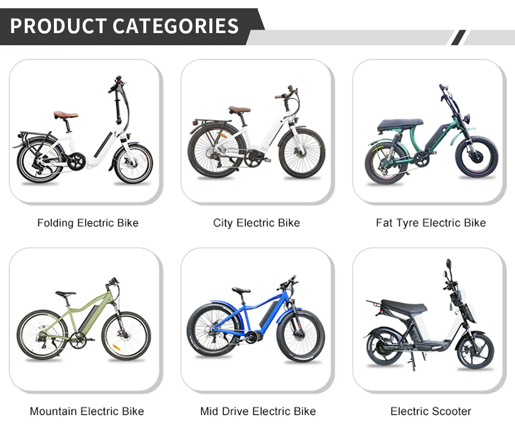 Pedal Assist Front Drive Geared Brushless Electric Motor for Ebike