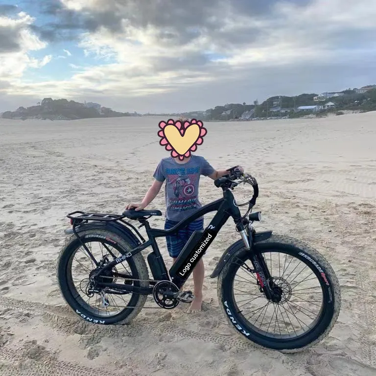 Pedelec 26inch Kenda Fat Tire Electric Charging Bike Mountain off Road Electric Fat Bicycle China